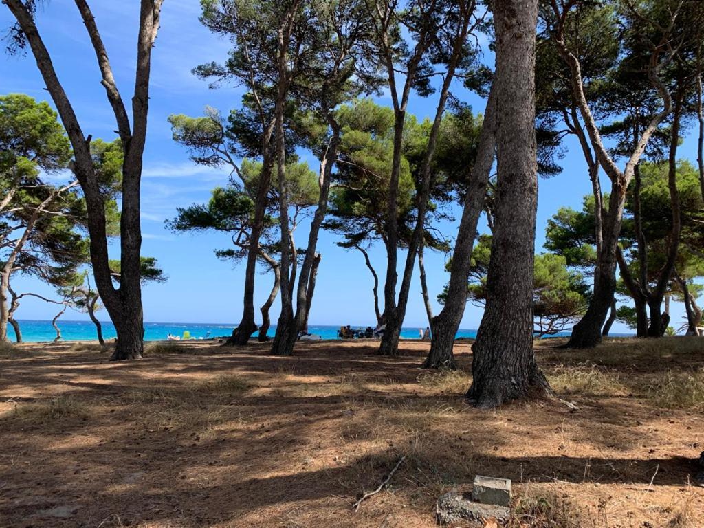 Canyamel Apt 3A Cala Varques 100 Mts From Canyamel Beach Pool Chill-Out Terrace With Awesome Views 外观 照片
